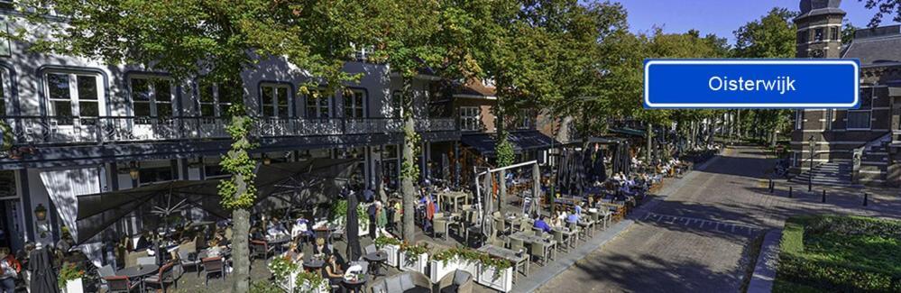 Vakantiehuis Appelvink, Toplocatie In Bosrijke Omgeving オーイステルウェイク エクステリア 写真