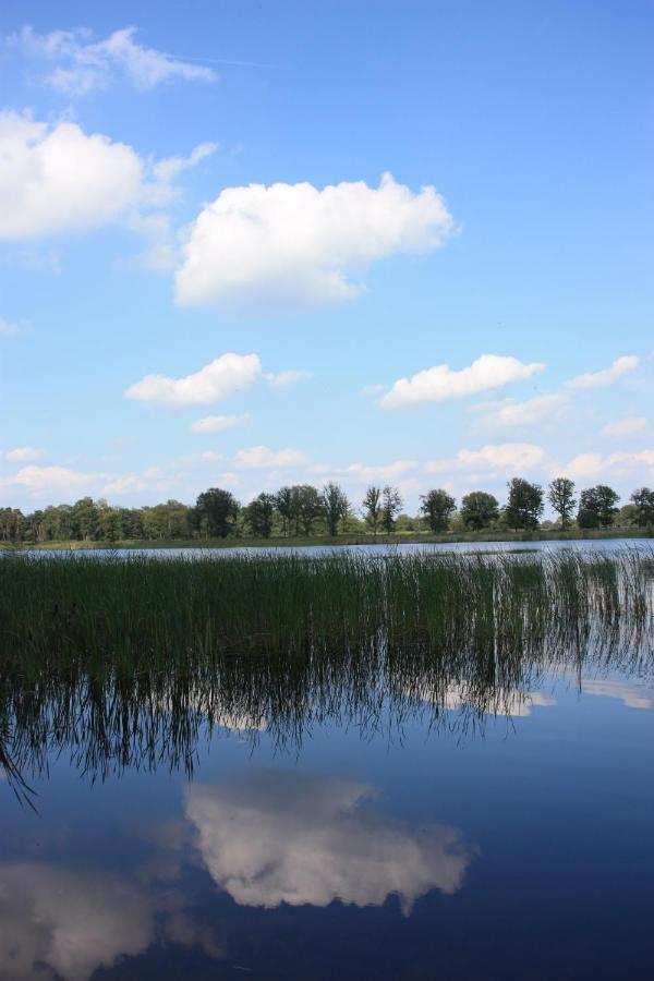 Vakantiehuis Appelvink, Toplocatie In Bosrijke Omgeving オーイステルウェイク エクステリア 写真