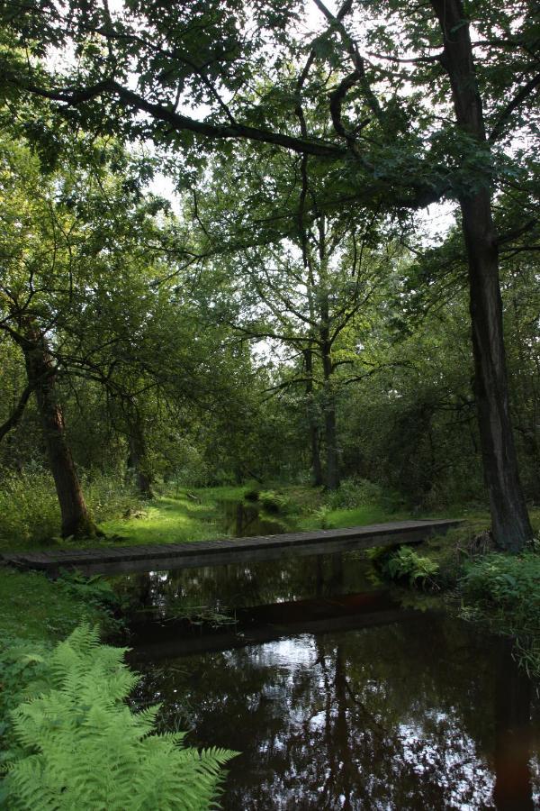 Vakantiehuis Appelvink, Toplocatie In Bosrijke Omgeving オーイステルウェイク エクステリア 写真