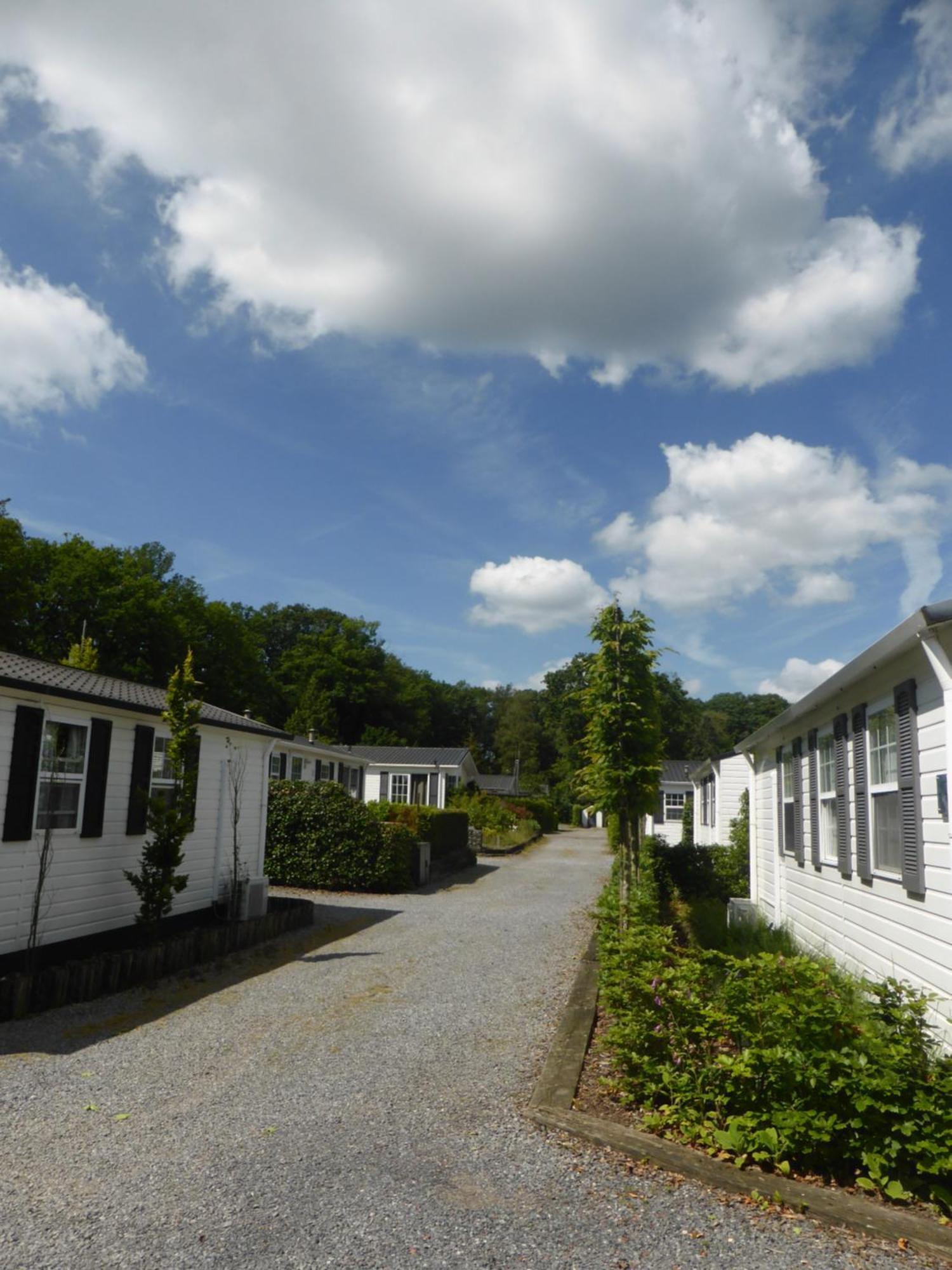 Vakantiehuis Appelvink, Toplocatie In Bosrijke Omgeving オーイステルウェイク エクステリア 写真